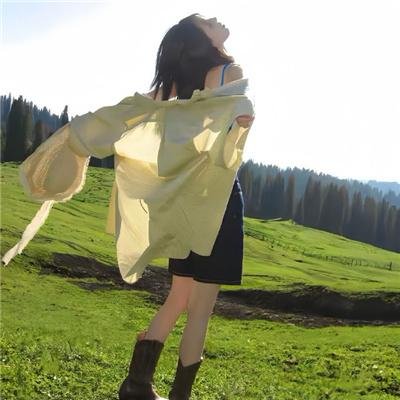 钢甲卡卡龙